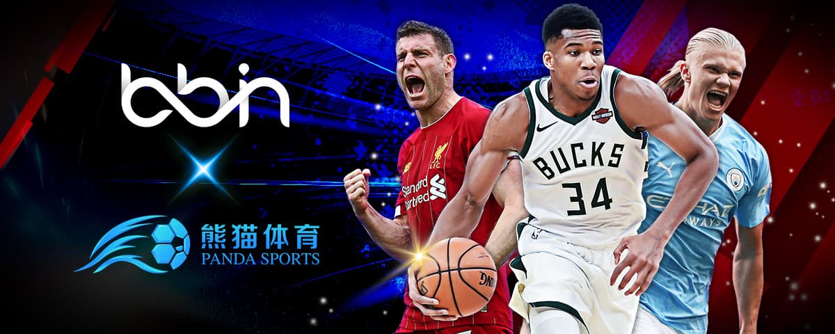 一个全新的